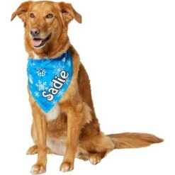 Frisco Blue Snowflakes Personalized Dog & Cat Bandana 6 Frisco Blue Snowflakes Personalized Dog & Cat Bandana -Frisco Pet Hub 242803 PT6. AC SS1800 V1618511278