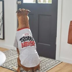 Frisco Little Trouble Maker Dog & Cat T-Shirt -Frisco Pet Hub 248639 PT5. AC SS1800 V1644960392