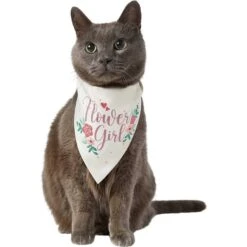 Frisco Wedding Reversible Dog & Cat Bandana -Frisco Pet Hub 248712 PT3. AC SS1800 V1632431176