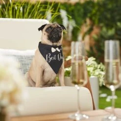 Frisco Wedding Reversible Dog & Cat Bandana -Frisco Pet Hub 248712 PT5. AC SS1800 V1632432987