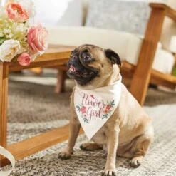 Frisco Wedding Reversible Dog & Cat Bandana -Frisco Pet Hub 248712 PT6. AC SS1800 V1632430655