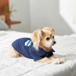 Frisco Dog & Cat Polo Shirt With Accent Pocket -Frisco Pet Hub 248880 PT7. AC SS1800 V1644960683