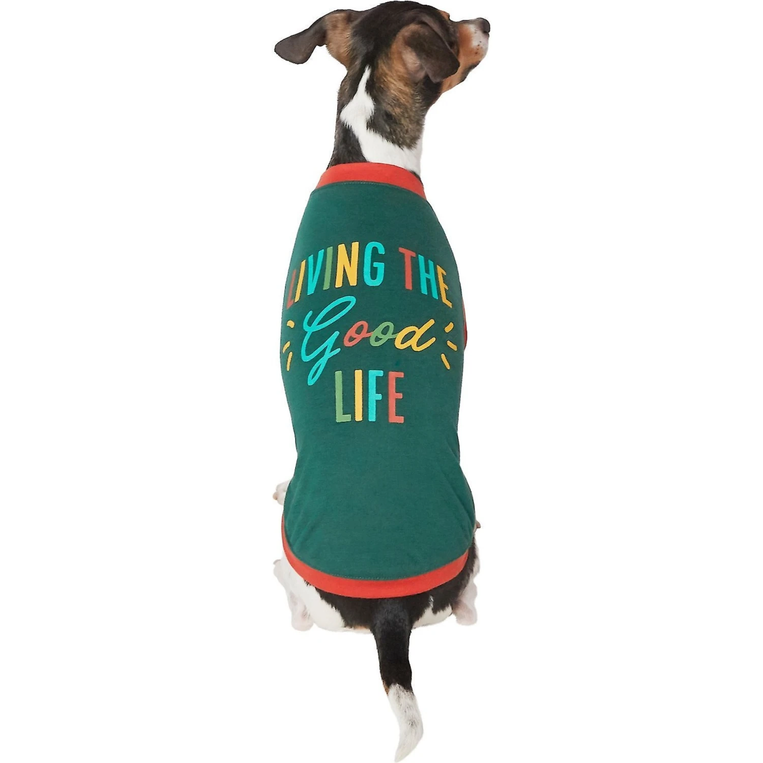 Frisco Living the Good Life Dog & Cat T-Shirt Frisco Living The Good Life Dog & Cat T-Shirt -Frisco Pet Hub 248973 MAIN. AC SS1800 V1644447746