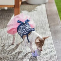 Frisco Leopard Print Dog & Cat Dress -Frisco Pet Hub 249051 PT5. AC SS1800 V1644960386
