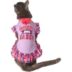 Frisco Cute & Sassy Dog & Cat Dress -Frisco Pet Hub 249073 PT2. AC SS1800 V1644959826
