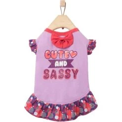Frisco Cute & Sassy Dog & Cat Dress -Frisco Pet Hub 249073 PT3. AC SS1800 V1644960094