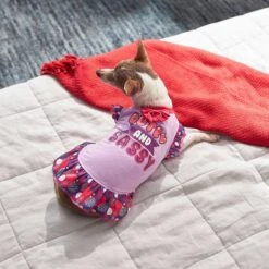 Frisco Cute & Sassy Dog & Cat Dress -Frisco Pet Hub 249073 PT5. AC SS1800 V1644960392