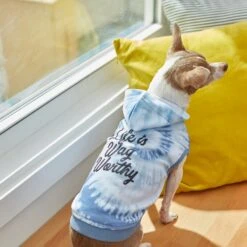 Frisco Life Is Wag Worthy Tiedye Print Dog & Cat Hoodie -Frisco Pet Hub 249094 PT7. AC SS1800 V1614362017