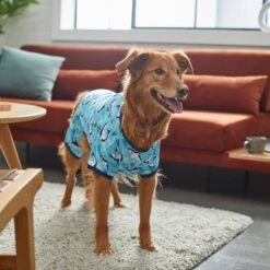Frisco Happy Shark Dog & Cat Jersey PJs 5 Frisco Happy Shark Dog & Cat Jersey PJs -Frisco Pet Hub 249122 PT7. AC SS1800 V1614276183