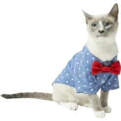 Frisco Polka Dot Chambray Dog & Cat Button Up Shirt -Frisco Pet Hub 249162 PT2. AC SS1800 V1614202882