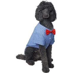 Frisco Polka Dot Chambray Dog & Cat Button Up Shirt -Frisco Pet Hub 249162 PT3. AC SS1800 V1624599756