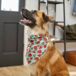 Frisco Fruity Summer Dog & Cat Bandana -Frisco Pet Hub 249204 PT4. AC SS1800 V1637668676