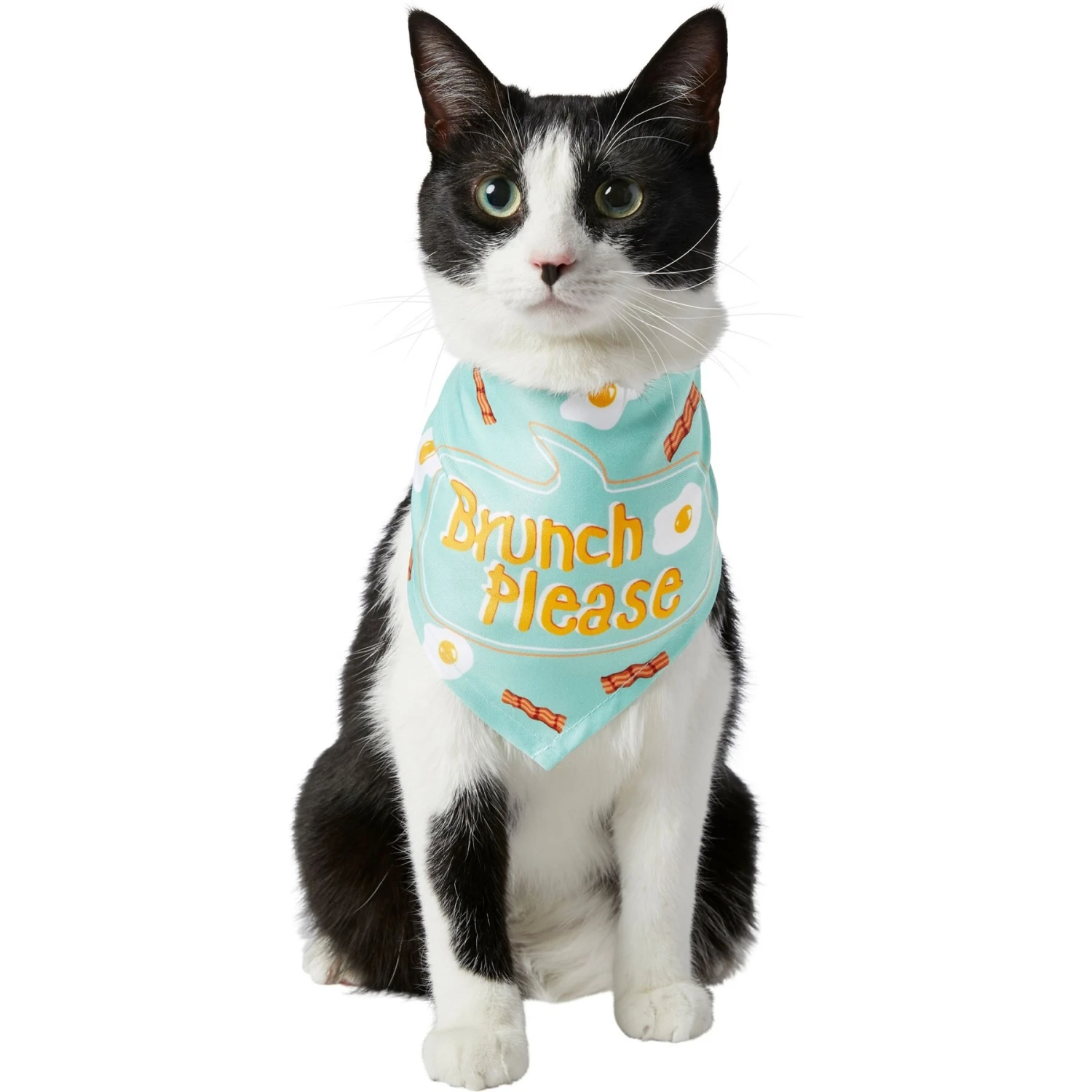Frisco Brunch Please Dog & Cat Bandana Frisco Brunch Please Dog & Cat Bandana -Frisco Pet Hub 249207 PT2. AC SS1800 V1696597732