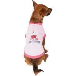 Frisco It's My Birthday Dog & Cat T-Shirt, Pink -Frisco Pet Hub 249255 PT2. AC SS1800 V1624608150
