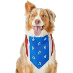Frisco Stars & Stripes Dog & Cat Bandana -Frisco Pet Hub 249329 PT2. AC SS1800 V1632418569