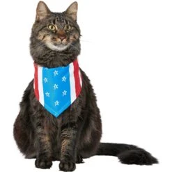 Frisco Stars & Stripes Dog & Cat Bandana -Frisco Pet Hub 249329 PT3. AC SS1800 V1632422490
