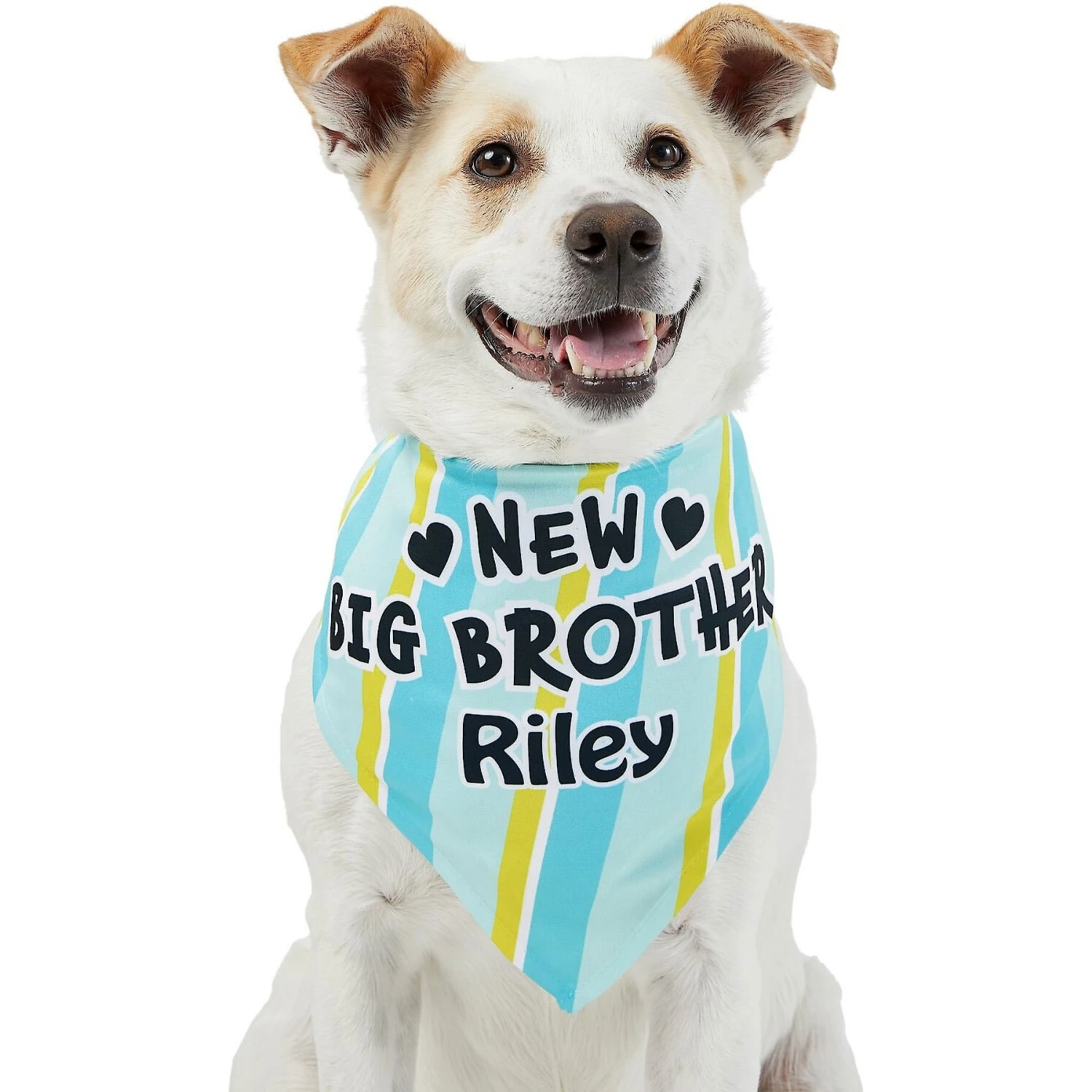 Frisco Big Brother Personalized Dog & Cat Bandana Frisco Big Brother Personalized Dog & Cat Bandana -Frisco Pet Hub 254231 PT6. AC SS1800 V1633071398