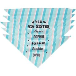 Frisco Big Sister Personalized Dog & Cat Bandana -Frisco Pet Hub 254235 PT4. AC SS1800 V1619558530
