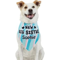 Frisco Big Sister Personalized Dog & Cat Bandana -Frisco Pet Hub 254235 PT6. AC SS1800 V1619558258
