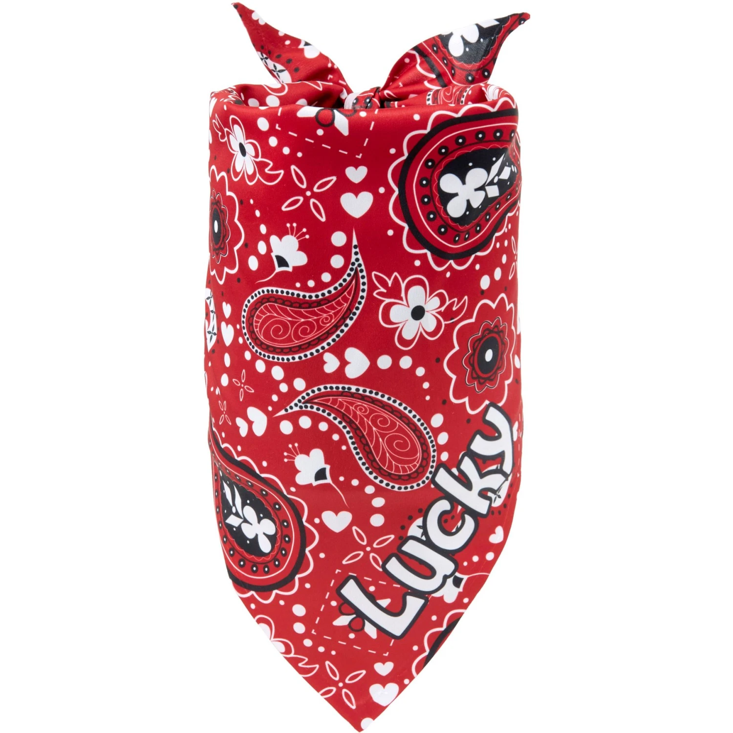 Frisco Paisley Printed Personalized Dog & Cat Bandana Frisco Paisley Printed Personalized Dog & Cat Bandana -Frisco Pet Hub 254247 MAIN. AC SS1800 V1701981426