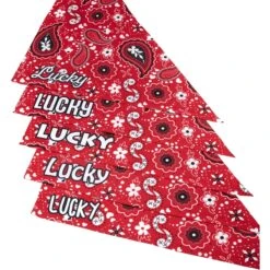 Frisco Paisley Printed Personalized Dog & Cat Bandana 4 Frisco Paisley Printed Personalized Dog & Cat Bandana -Frisco Pet Hub 254247 PT4. AC SS1800 V1618511570