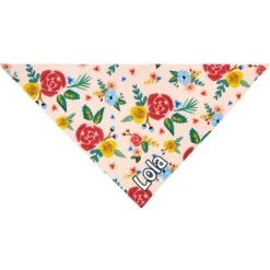 Frisco Floral Personalized Dog & Cat Bandana -Frisco Pet Hub 254255 PT3. AC SS1800 V1618511861