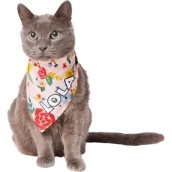 Frisco Floral Personalized Dog & Cat Bandana -Frisco Pet Hub 254255 PT7. AC SS1800 V1618507948