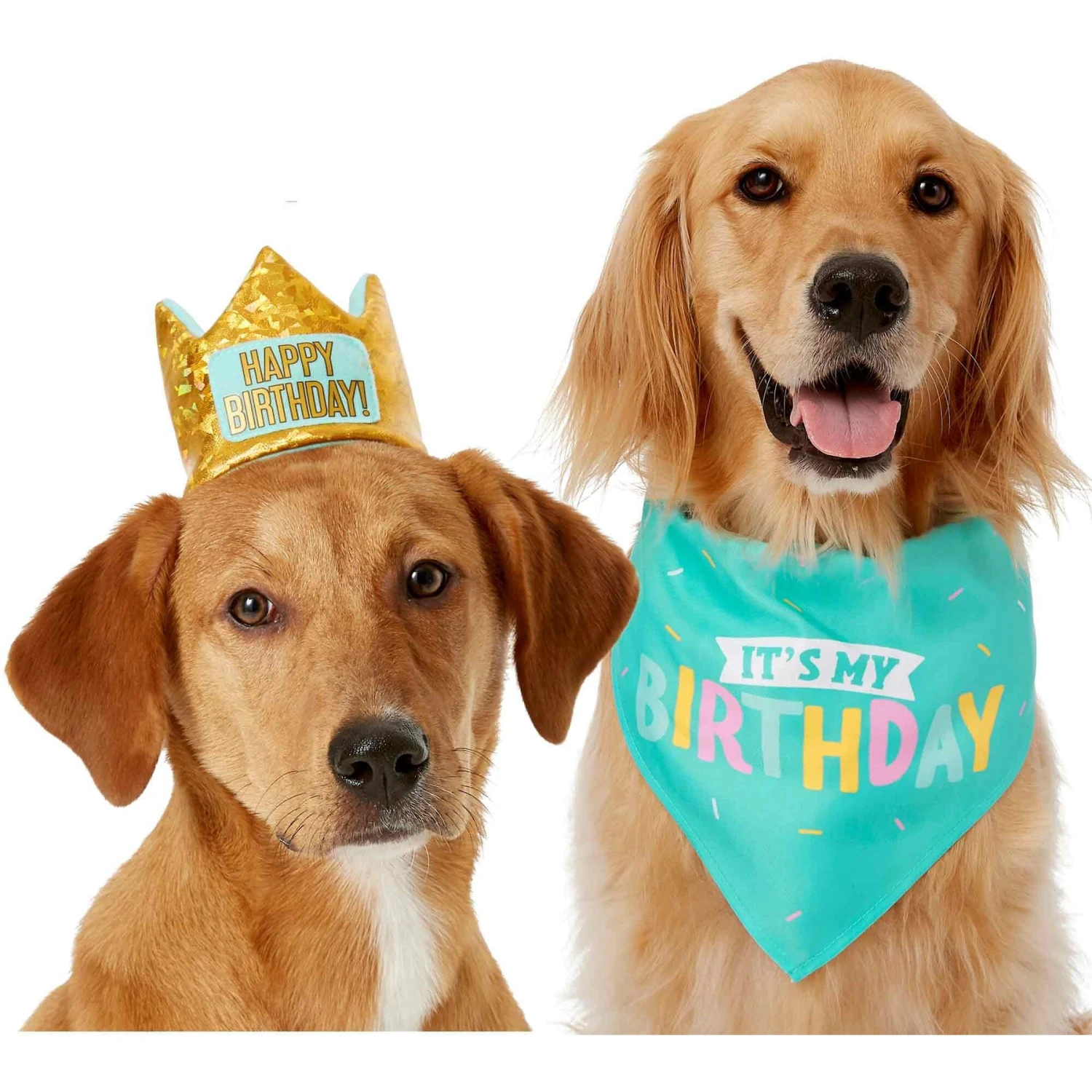 Frisco Happy Birthday Dog & Cat Crown & Frisco Dog & Cat Birthday Bandana Frisco Happy Birthday Dog & Cat Crown & Frisco Dog & Cat Birthday Bandana -Frisco Pet Hub 255523 MAIN. AC SS1800 V1603716093