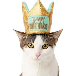 Frisco Happy Birthday Dog & Cat Crown & Frisco Dog & Cat Birthday Bandana 2 Frisco Happy Birthday Dog & Cat Crown & Frisco Dog & Cat Birthday Bandana -Frisco Pet Hub 255523 PT2. AC SS1800 V1603716120