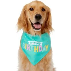 Frisco Happy Birthday Dog & Cat Crown & Frisco Dog & Cat Birthday Bandana 3 Frisco Happy Birthday Dog & Cat Crown & Frisco Dog & Cat Birthday Bandana -Frisco Pet Hub 255523 PT3. AC SS1800 V1603716114
