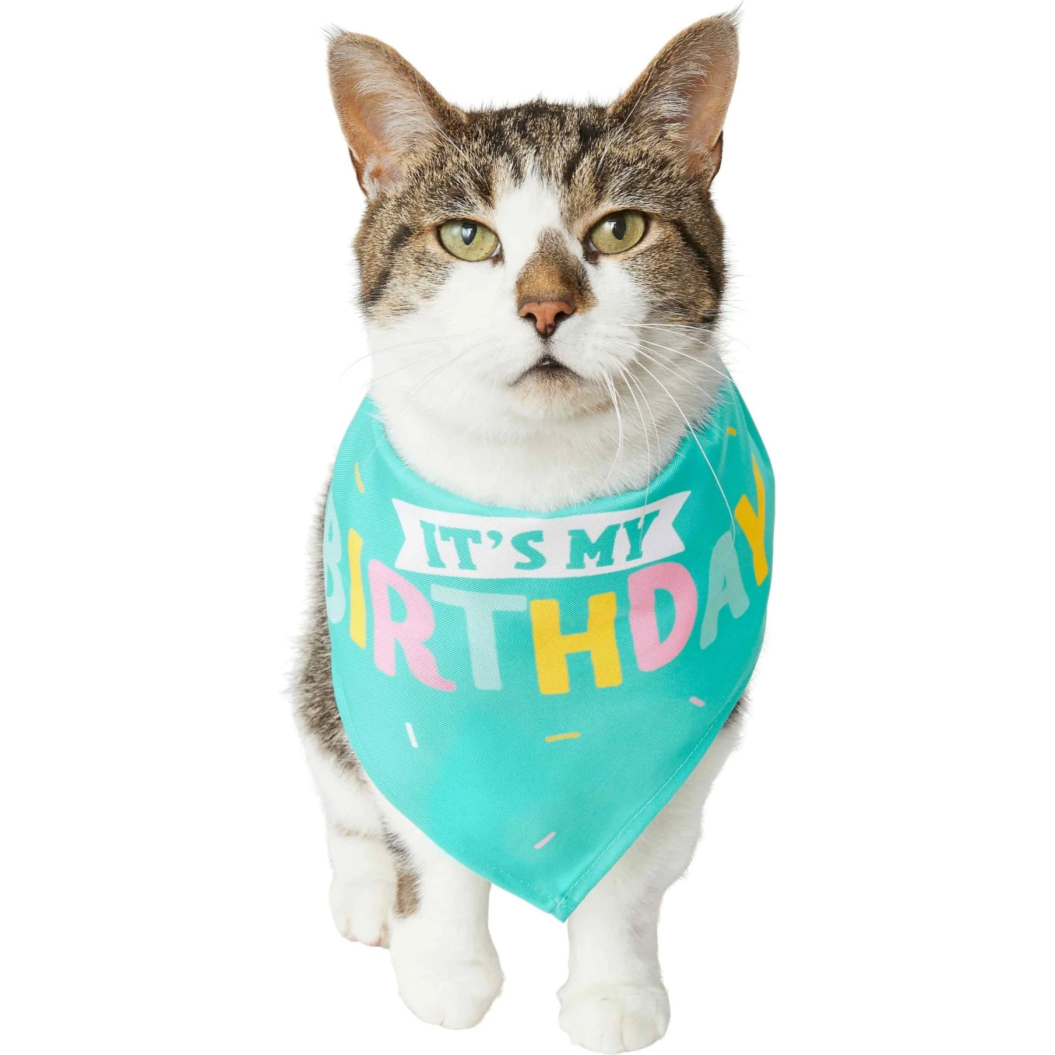Frisco Happy Birthday Dog & Cat Crown & Frisco Dog & Cat Birthday Bandana Frisco Happy Birthday Dog & Cat Crown & Frisco Dog & Cat Birthday Bandana -Frisco Pet Hub 255523 PT4. AC SS1800 V1603716120