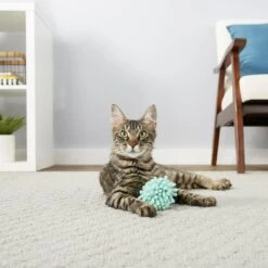 Frisco Moppy Ball Cat Toy With Catnip & Frisco Moppy Ball Cat Toy With Catnip -Frisco Pet Hub 255585 PT2. AC SS1800 V1602691604