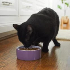 Frisco Kaleidoscope Pattern Non-skid Ceramic Dog & Cat Bowl -Frisco Pet Hub 256090 PT2. AC SS1800 V1615311092