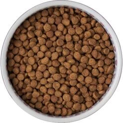 Frisco Kaleidoscope Pattern Non-skid Ceramic Dog & Cat Bowl -Frisco Pet Hub 256090 PT5. AC SS1800 V1615312887