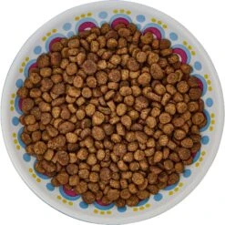 Frisco Kaleidoscope Pattern Non-skid Ceramic Cat Dish -Frisco Pet Hub 256092 PT5. AC SS1800 V1617042691