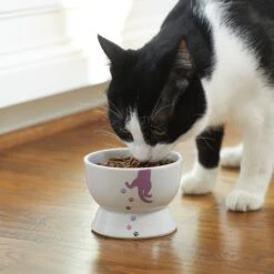 Frisco Cat Print Non-skid Elevated Ceramic Cat Bowl, Short -Frisco Pet Hub 256096 PT2. AC SS1800 V1616522571