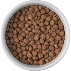 Frisco Cat Print Non-skid Elevated Ceramic Cat Bowl, Short -Frisco Pet Hub 256096 PT4. AC SS1800 V1616522576