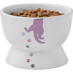 Frisco Cat Print Non-skid Elevated Ceramic Cat Bowl, Short -Frisco Pet Hub 256096 PT5. AC SS1800 V1616522496