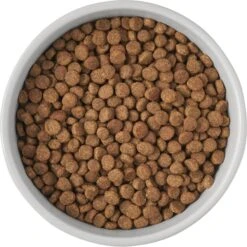 Frisco Cat Print Non-Skid Elevated Ceramic Cat Bowl, Tall -Frisco Pet Hub 256099 PT4. AC SS1800 V1616522538