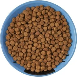 Frisco Cat Face Non-skid Ceramic Cat Dish, Blue -Frisco Pet Hub 256101 PT5. AC SS1800 V1615321282