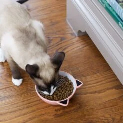 Frisco Cat Face Non-skid Ceramic Cat Bowl, Pink -Frisco Pet Hub 256107 PT2. AC SS1800 V1616522589