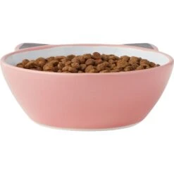 Frisco Cat Face Non-skid Ceramic Cat Bowl, Pink -Frisco Pet Hub 256107 PT4. AC SS1800 V1616522565