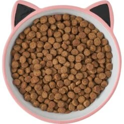 Frisco Cat Face Non-skid Ceramic Cat Bowl, Pink -Frisco Pet Hub 256107 PT5. AC SS1800 V1616522494
