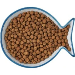 Frisco Fish Shaped Non-skid Ceramic Cat Dish -Frisco Pet Hub 256109 PT6. AC SS1800 V1617196895