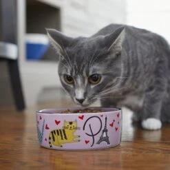 Frisco Paris Non-skid Ceramic Cat Dish -Frisco Pet Hub 256117 PT2. AC SS1800 V1615311397