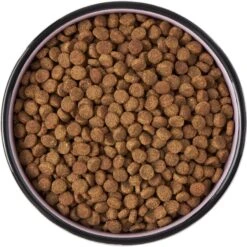 Frisco Paris Non-skid Ceramic Cat Dish -Frisco Pet Hub 256117 PT5. AC SS1800 V1615311392