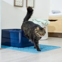 Frisco Quilted Cat Litter Mat 3 Frisco Quilted Cat Litter Mat -Frisco Pet Hub 258210 PT3. AC SS1800 V1675279933