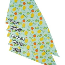 Frisco Citrus Personalized Dog & Cat Bandana -Frisco Pet Hub 258758 PT4. AC SS1800 V1619558899