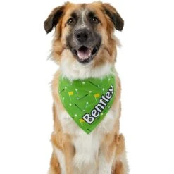 Frisco Golf Personalized Dog & Cat Bandana -Frisco Pet Hub 263017 PT6. AC SS1800 V1619557636