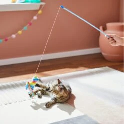 Frisco Pinata Teaser Wand Cat Toy With Catnip 2 Frisco Pinata Teaser Wand Cat Toy With Catnip -Frisco Pet Hub 264446 PT3. AC SS1800 V1618948636